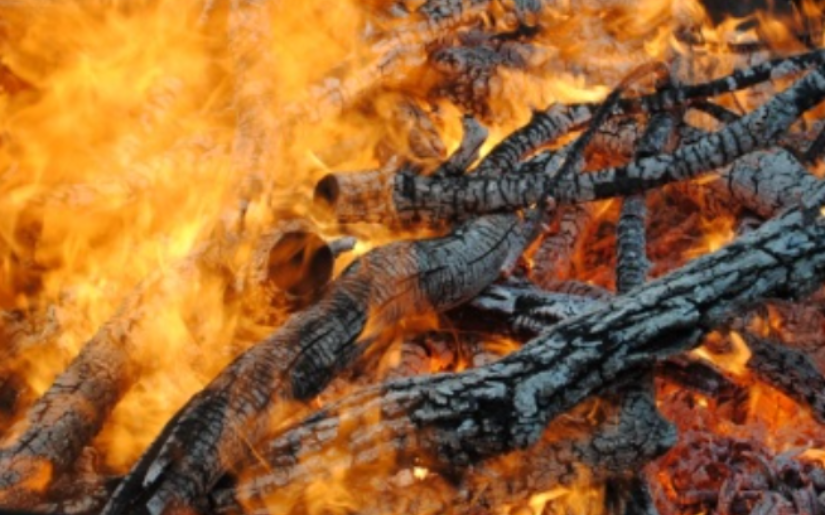 On Site Biochar Demonstration | Hugo, MN